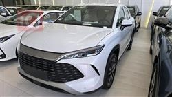 بي واي دي سونغ L DM-i